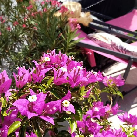 Le Petit Patio Panzió Aigues-Mortes Kültér fotó