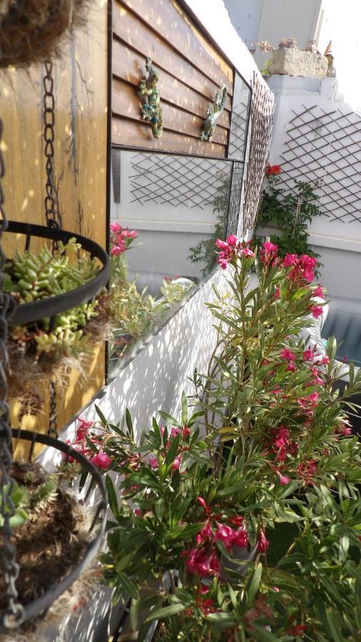 Le Petit Patio Panzió Aigues-Mortes Kültér fotó