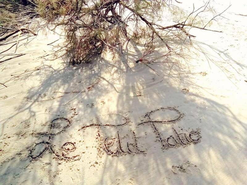 Le Petit Patio Panzió Aigues-Mortes Kültér fotó
