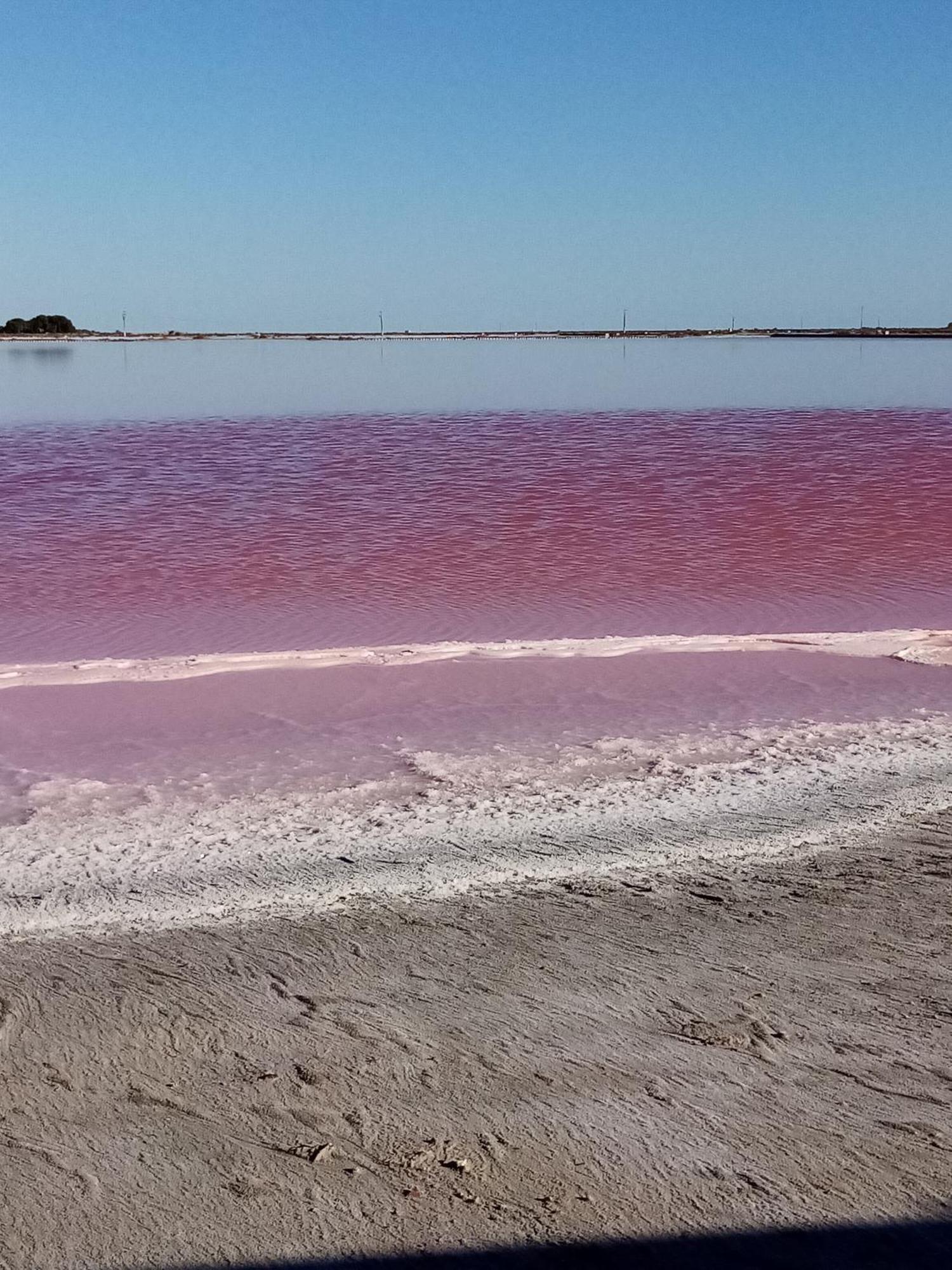 Le Petit Patio Panzió Aigues-Mortes Kültér fotó