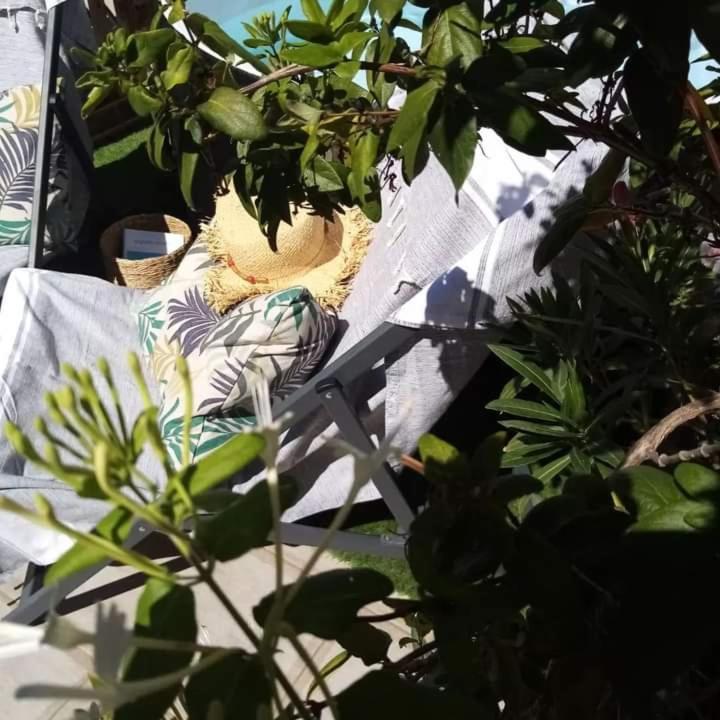 Le Petit Patio Panzió Aigues-Mortes Kültér fotó