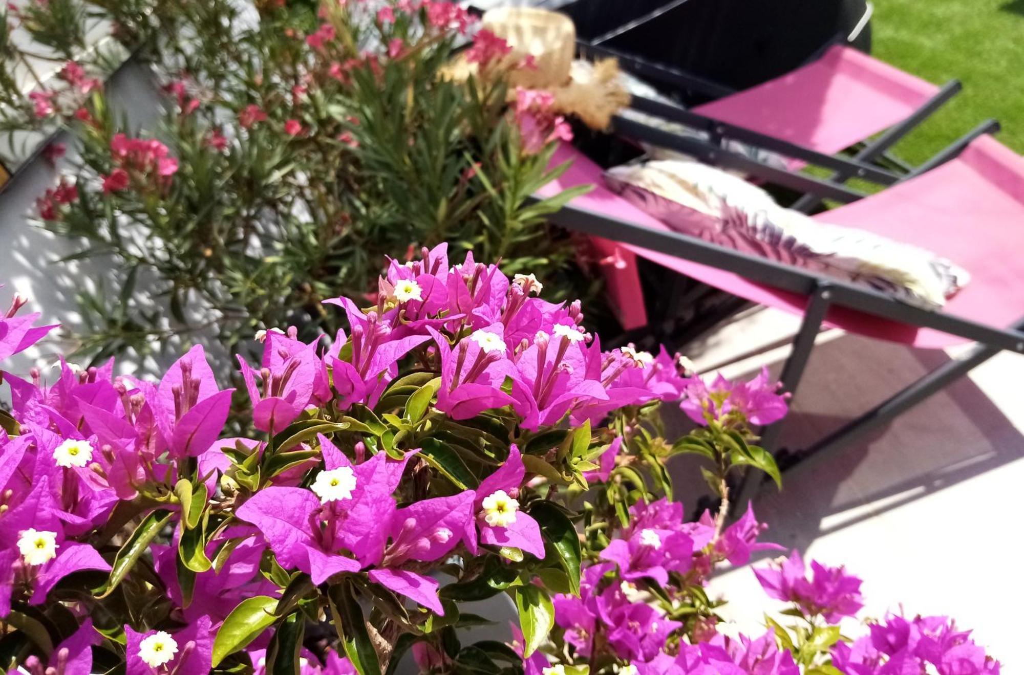 Le Petit Patio Panzió Aigues-Mortes Kültér fotó