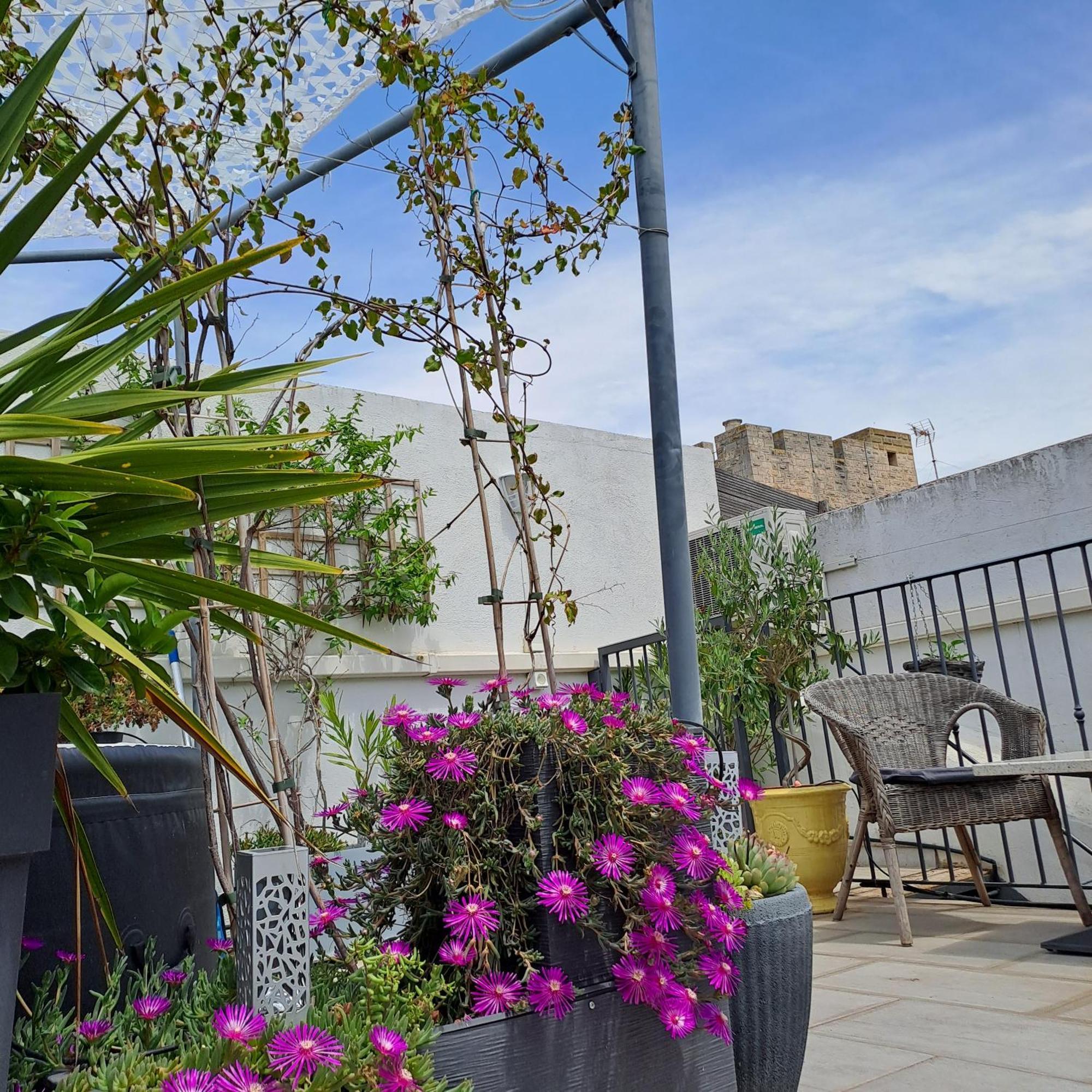 Le Petit Patio Panzió Aigues-Mortes Kültér fotó